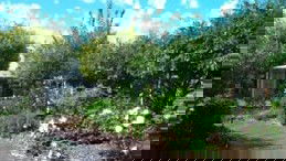 Cassia House - Seniors Australia 1