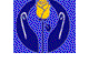 Allied Medistaff Nursing Service - Seniors Australia