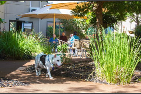 BlueCross Silverwood - Seniors Australia 4