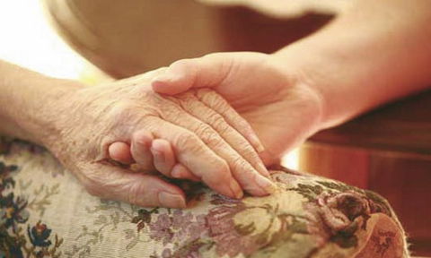 Hawthorn's Victoria Gardens - Seniors Australia 3