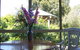 South Morang Mews - thumb 3