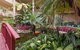 Bougainvillea Bay Club Resort - thumb 15