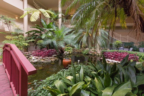 Bougainvillea Bay Club Resort - Seniors Australia 15
