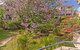 Bougainvillea Bay Club Resort - thumb 9