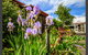Corumbene Nursing Home - thumb 0