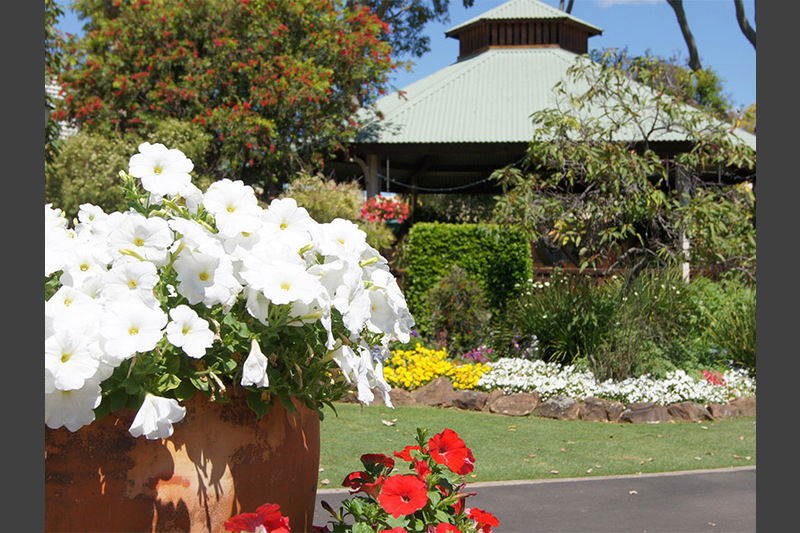 Laidley Creek West QLD Seniors Australia