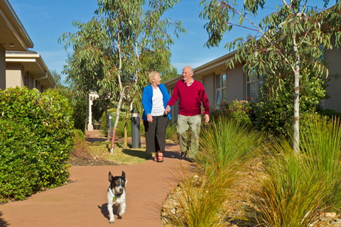 Lynbrook Park - Seniors Australia 0