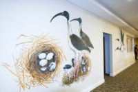 Boneham Aged Care