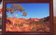 Framed In Alice - thumb 2