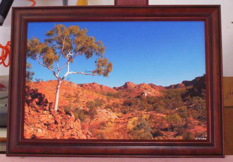 Framed In Alice - Seniors Australia 2