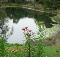 Banora Holistic Healing - Seniors Australia