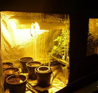 HydroCentre Hydroponics - Seniors Australia