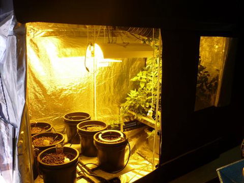 HydroCentre Hydroponics - Seniors Australia 0