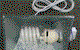 HydroCentre Hydroponics - thumb 4
