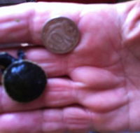 Hurleys Aquariums - Seniors Australia