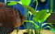 Tropical Marine Centre - thumb 4