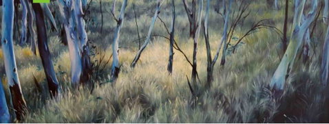Watch This Space - Seniors Australia 3
