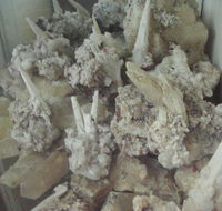 AJs Art Gallery Museum - Seniors Australia