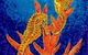 Sea Silks Gallery - thumb 1