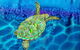 Sea Silks Gallery - thumb 3
