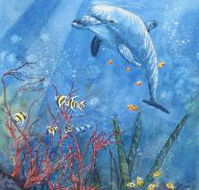 Nadas Fine Art Gallery - Seniors Australia