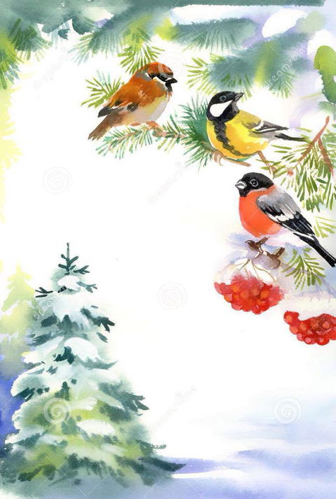 Two Birds Gallery - Seniors Australia 2