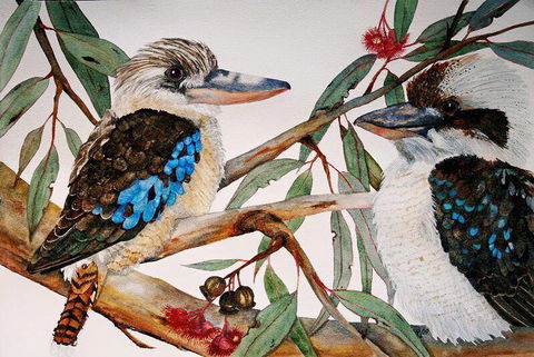 Two Birds Gallery - Seniors Australia 3