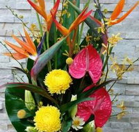 Blossoms of Tweed Banora - Seniors Australia