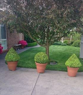 Bowral Mowers - Seniors Australia 3