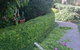 Bowral Mowers - thumb 4