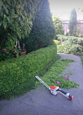 Bowral Mowers - Seniors Australia 4