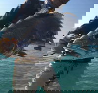 The Tackle Box NT - Seniors Australia