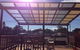 Express Timber Solutions - thumb 0
