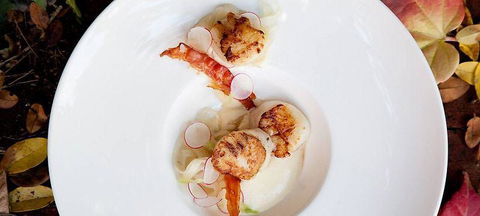 Pod Food - Seniors Australia 0