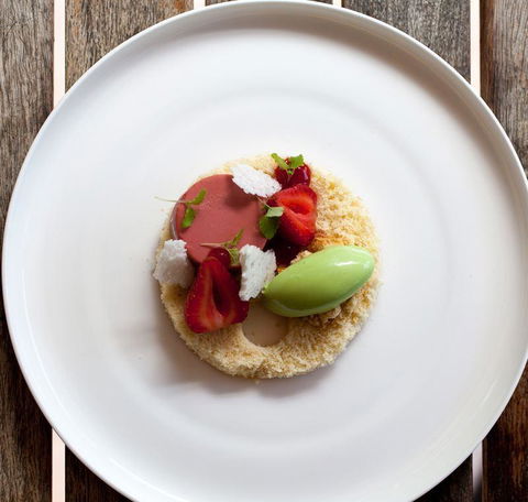 Pod Food - Seniors Australia 7