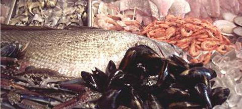 Sizzling Mongolian BBQ House - Seniors Australia 1