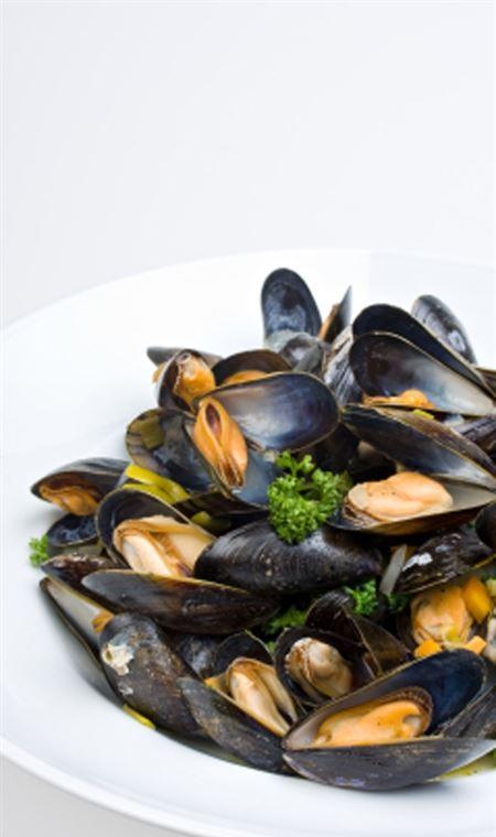 Sizzling Mongolian BBQ House - Seniors Australia 4