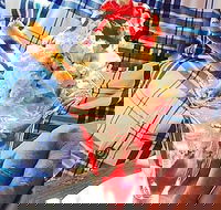 Jones Road Cellar Door - Seniors Australia