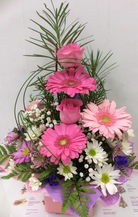 Townsville Hospital Florist - Seniors Australia 1