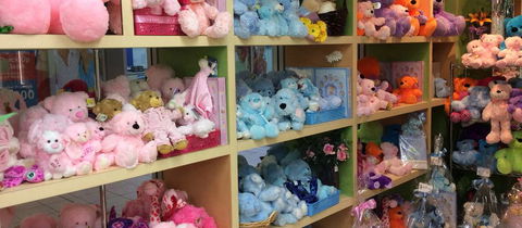 Townsville Hospital Florist - Seniors Australia 2