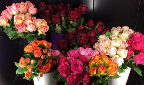 Townsville Hospital Florist - Seniors Australia 4