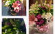 Buttercups Florist - thumb 1