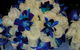 Buttercups Florist - thumb 2