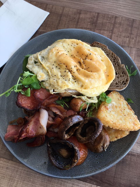 Fuzzy Duck - Seniors Australia 2