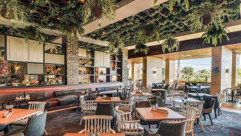 Maze Grill - Seniors Australia 8