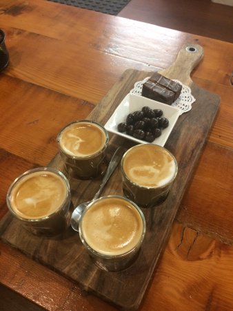 Bean Addiction - Seniors Australia 0