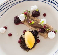 Wild Herring - Seniors Australia