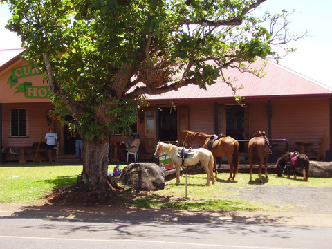 Currajah Hotel - Seniors Australia 1