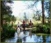Bellrowan Valley Horse Riding - Seniors Australia 1