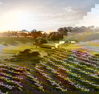 Sandalford Restaurant - Seniors Australia